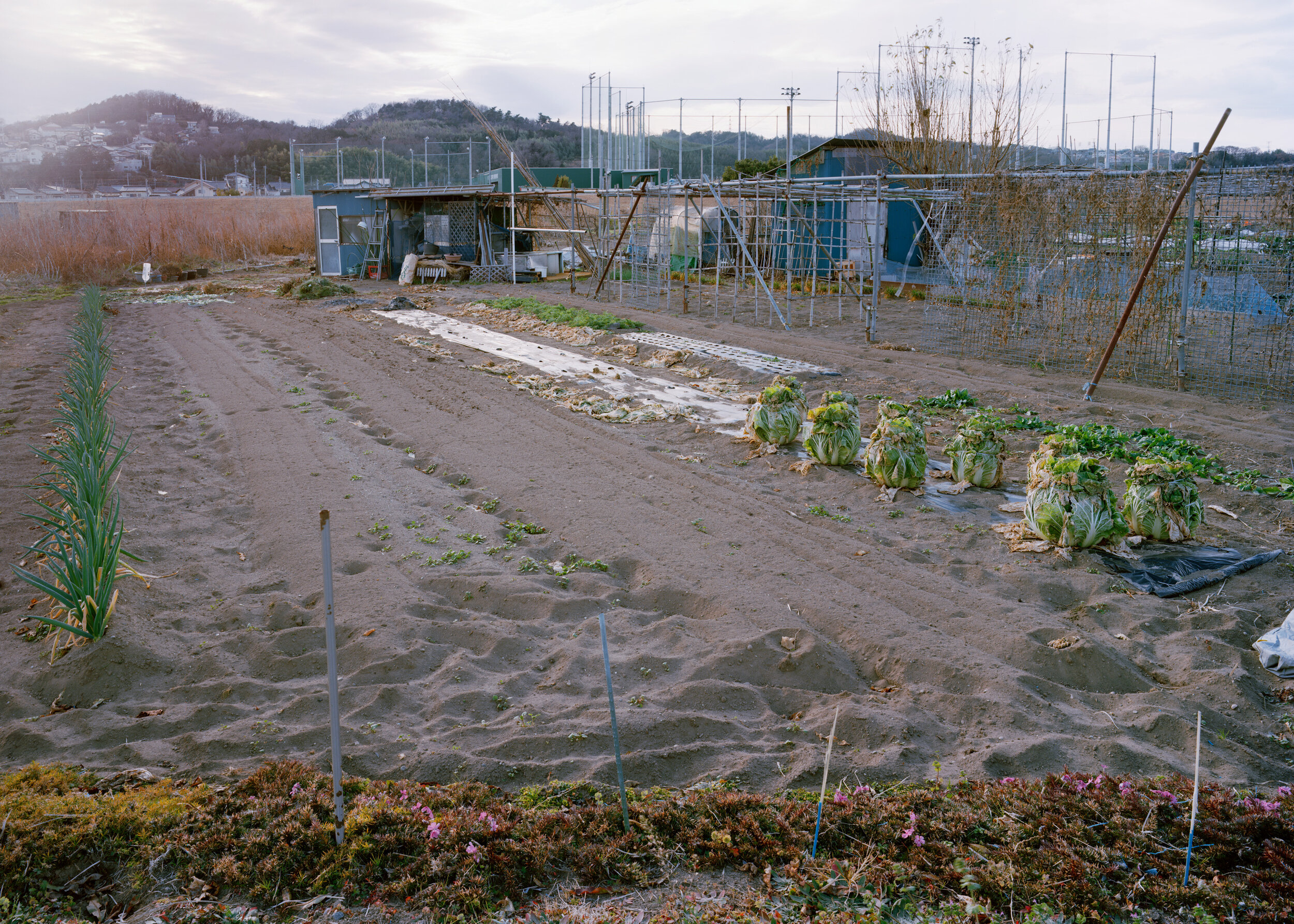 Takasaki2018.003.jpg