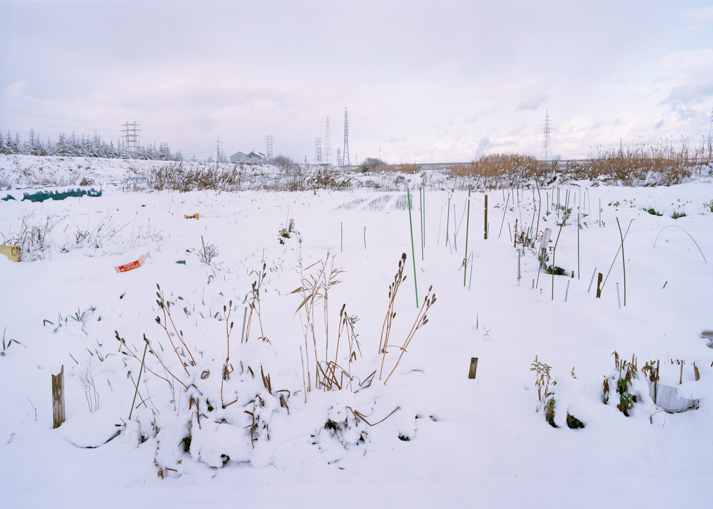 Toyama2019.001.jpg