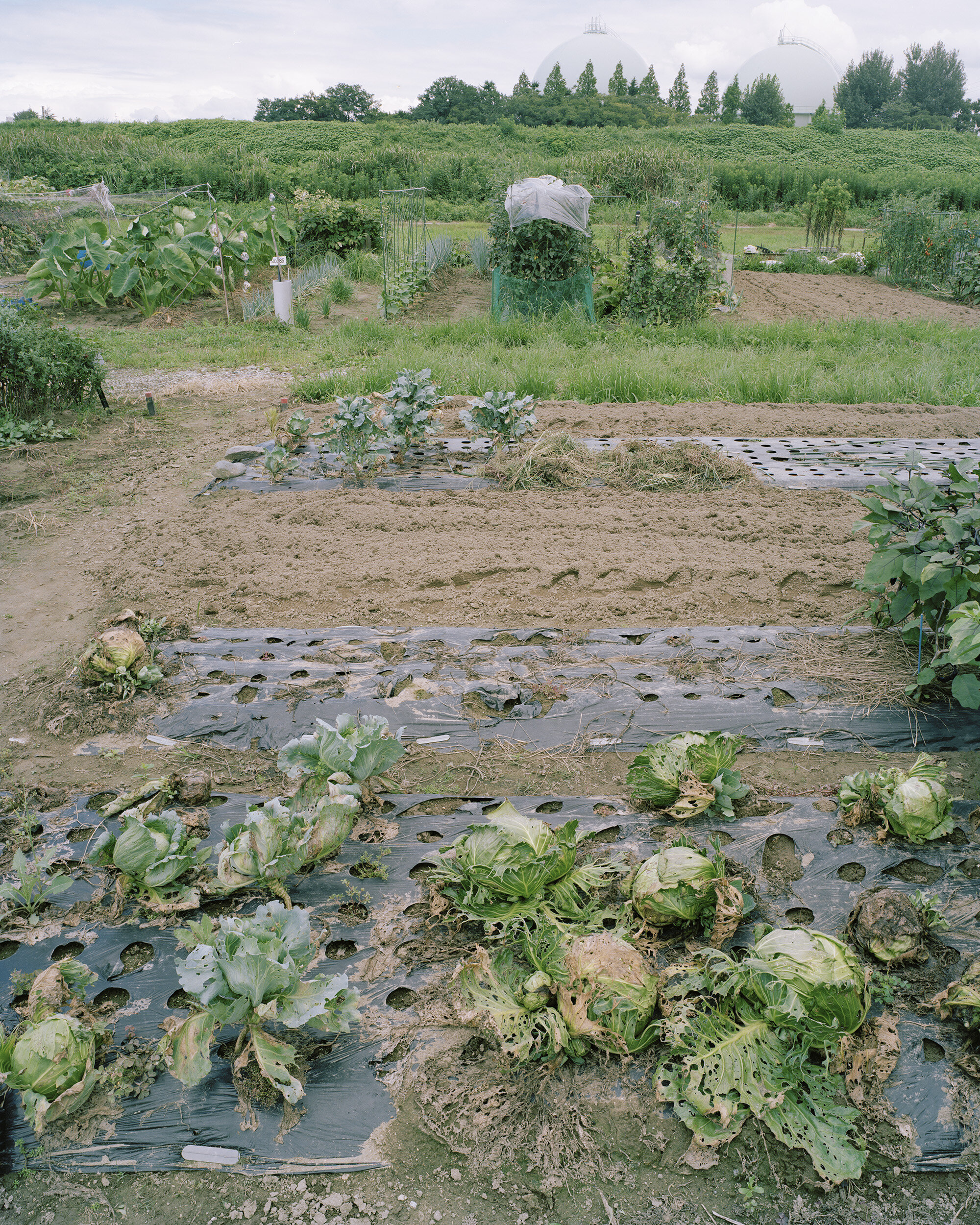 Toyama2017.003.jpg