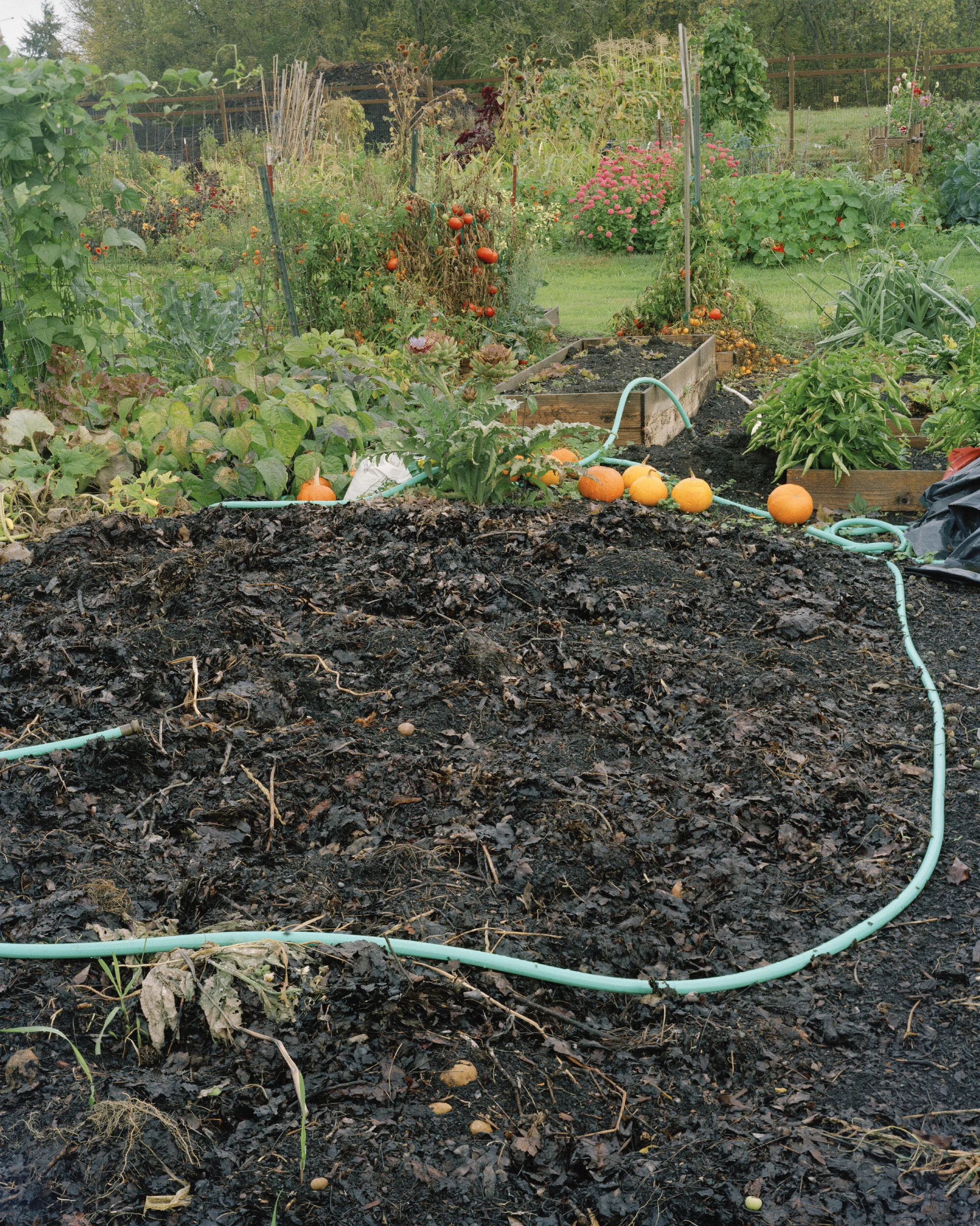 America's Community & Urban Gardening