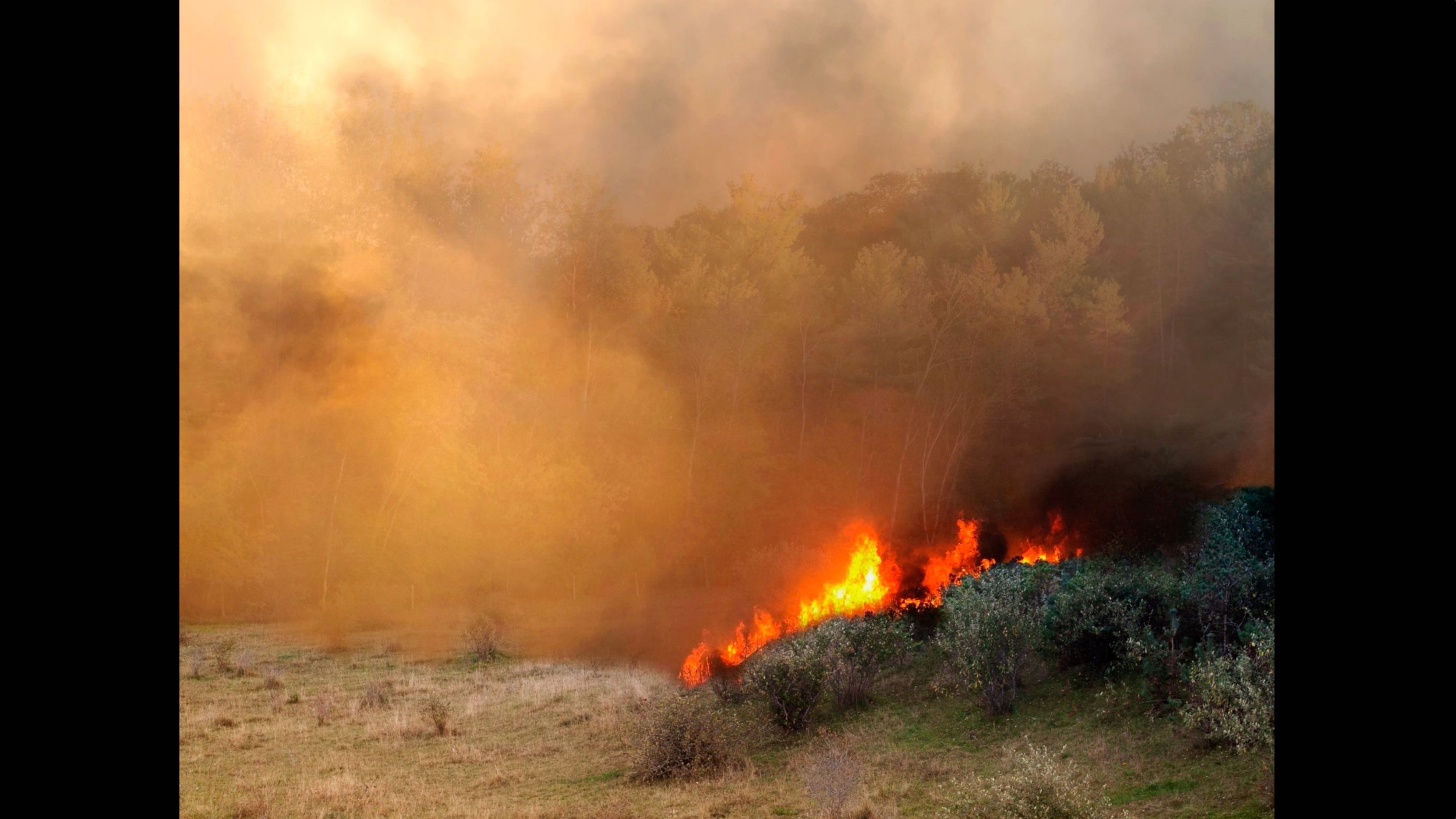   Superimpositions: Wildfires in My Landscape , Pine Gulch Fire, Katie Kehoe, animated photography, 1:00 (loop), 2021. 