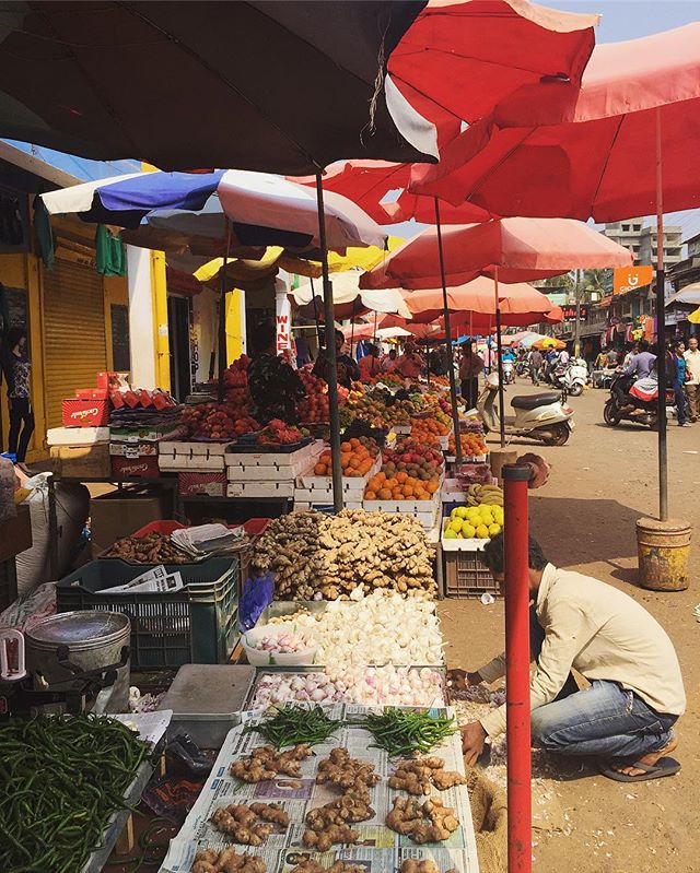 Mapusa Market .
.
.
#youfollowthefilm #mapusa #goa #ginger #freshveggies #travel #vegan #vegetarian #hinduism #rupees #umbrellas #hotAF