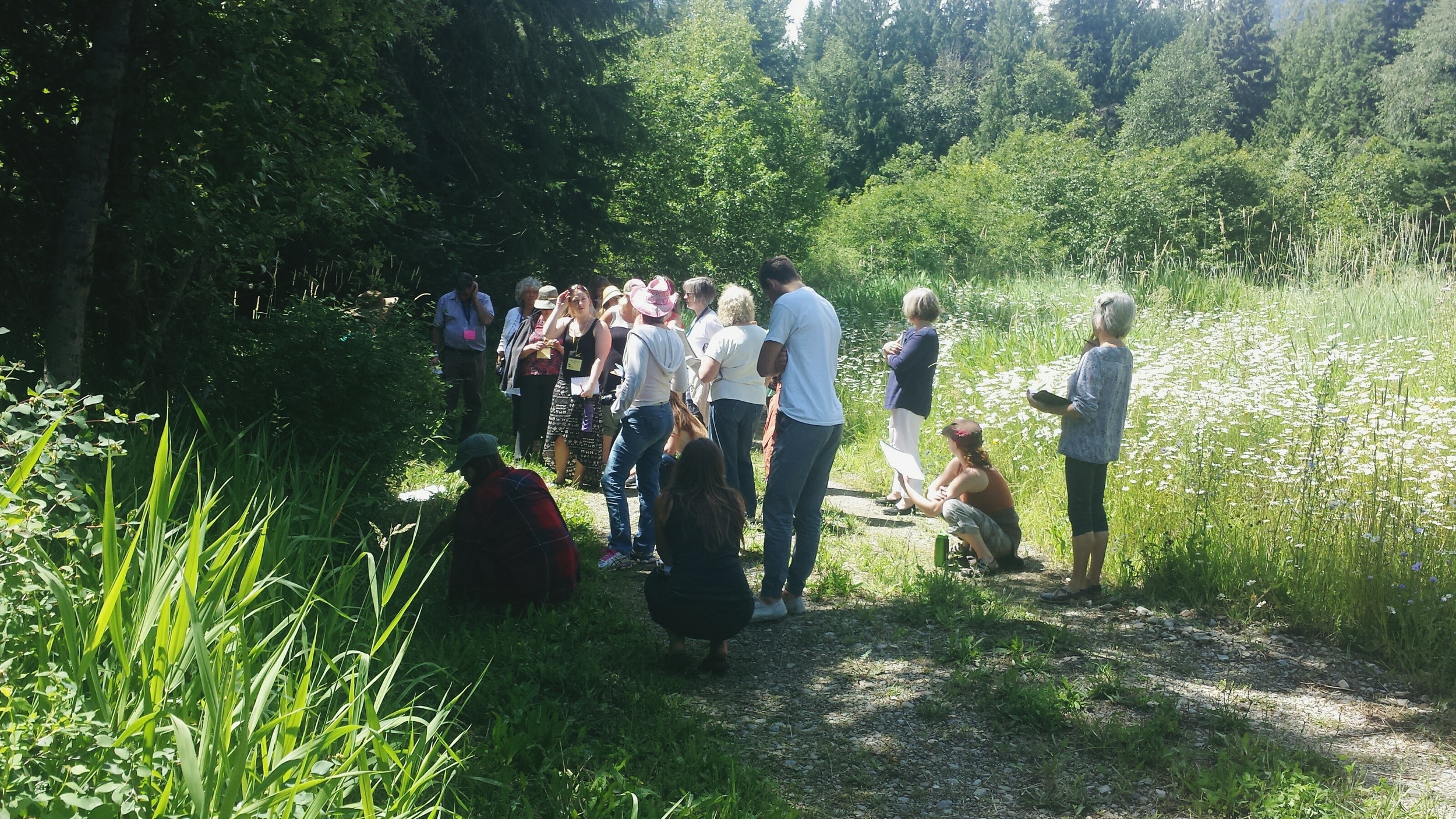 Herb Walk discussing historical & medicinal uses.