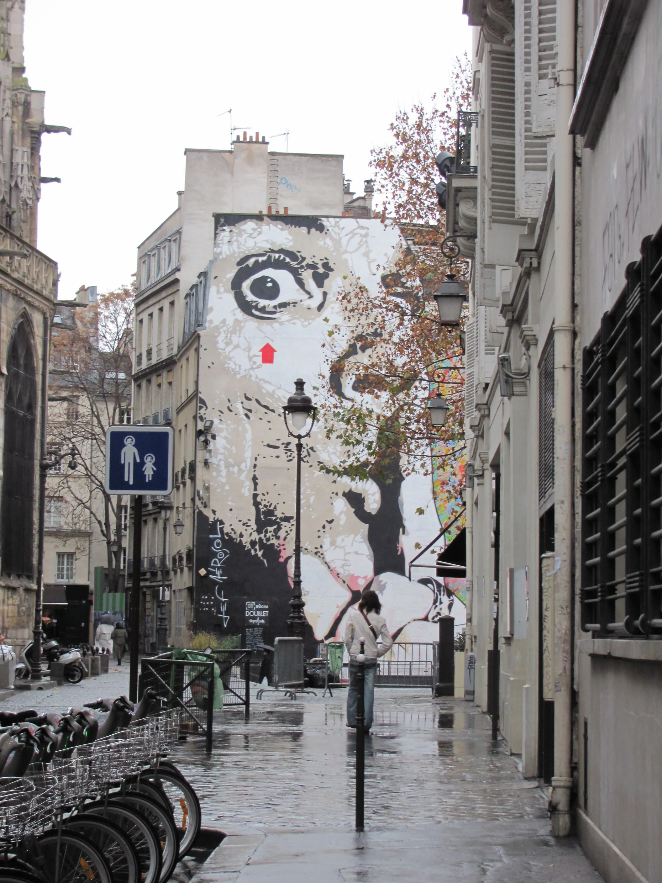  paris street art 