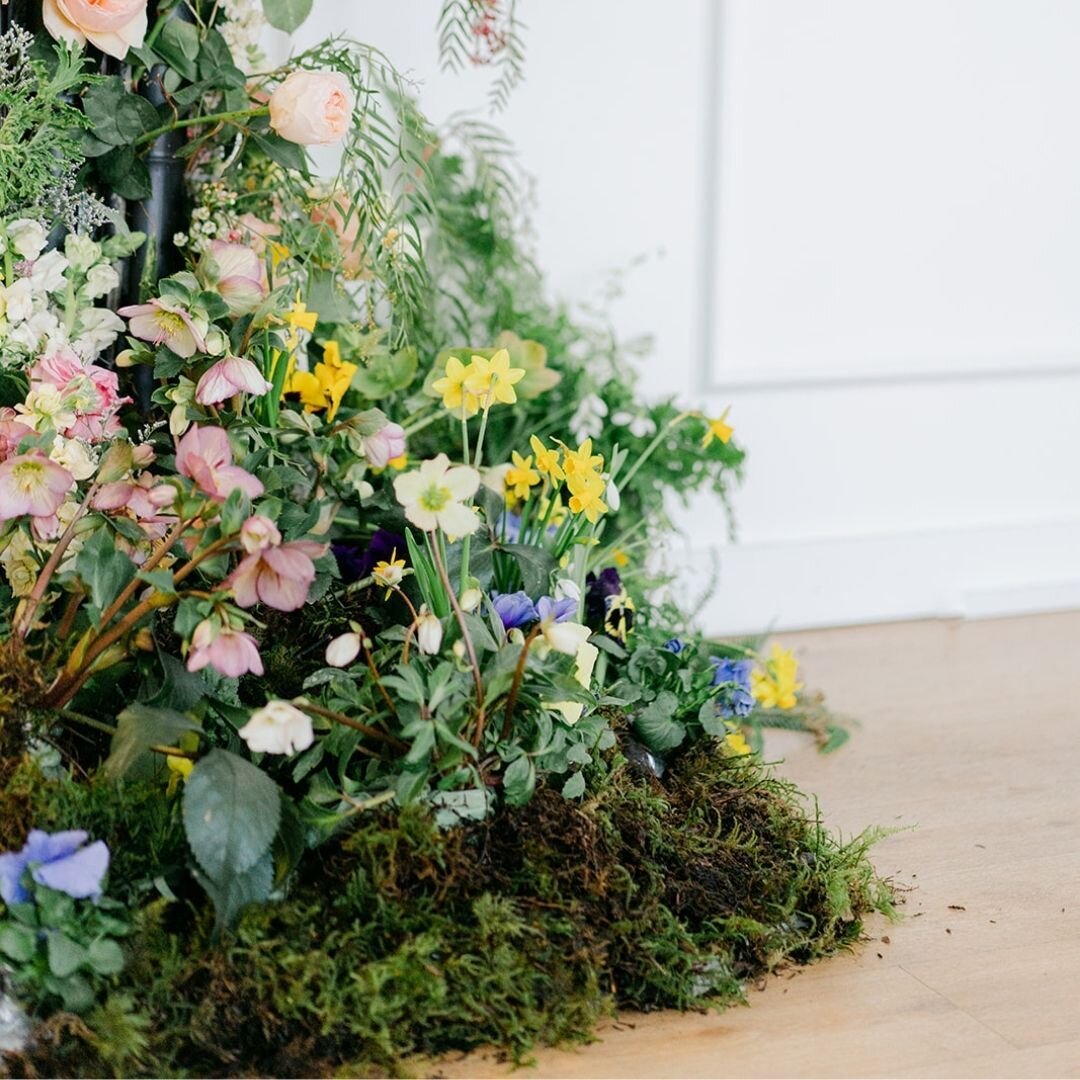 Saying goodbye to spring is tough. Seasonality is something you learn in floristry. While asking a florist their favorite flower I think there is one for every season. Spring for me has got to be hellebores. Although the daffodil is a close second...