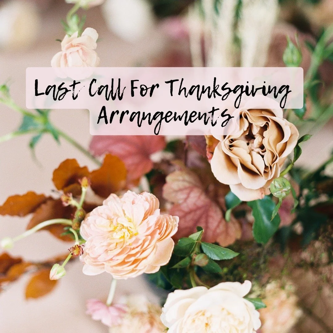 We're shutting off orders TODAY Sunday evening! A Thanksgiving centerpiece is an amazing host/hostess gift. Or order one for your table and you'll have the prettiest Turkey Day.

#thanksgivingcenterpiece #Kentwa #Kentwashington #seattleflorist