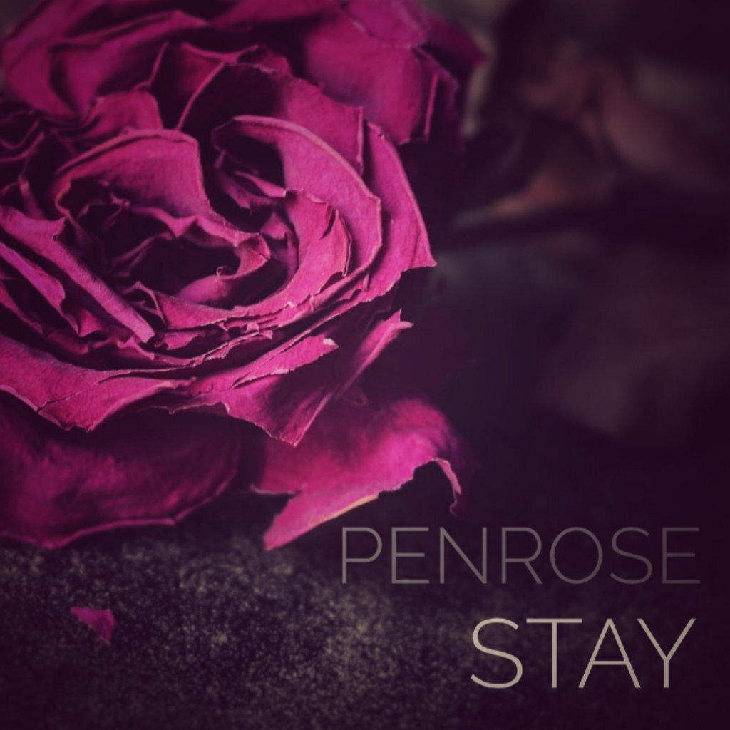 Penrose - Stay - Single.jpg