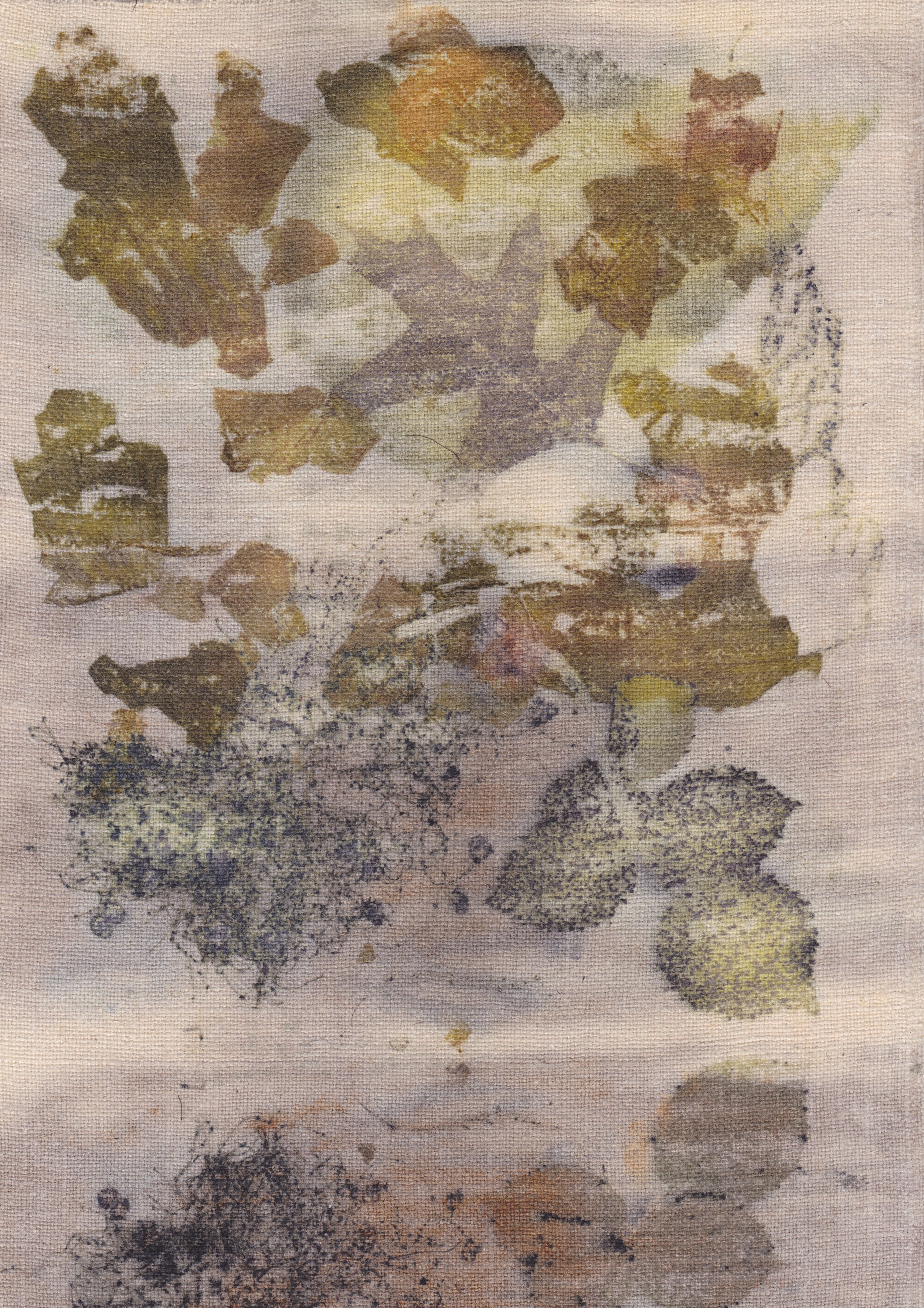 Eco-Print K 1.jpeg