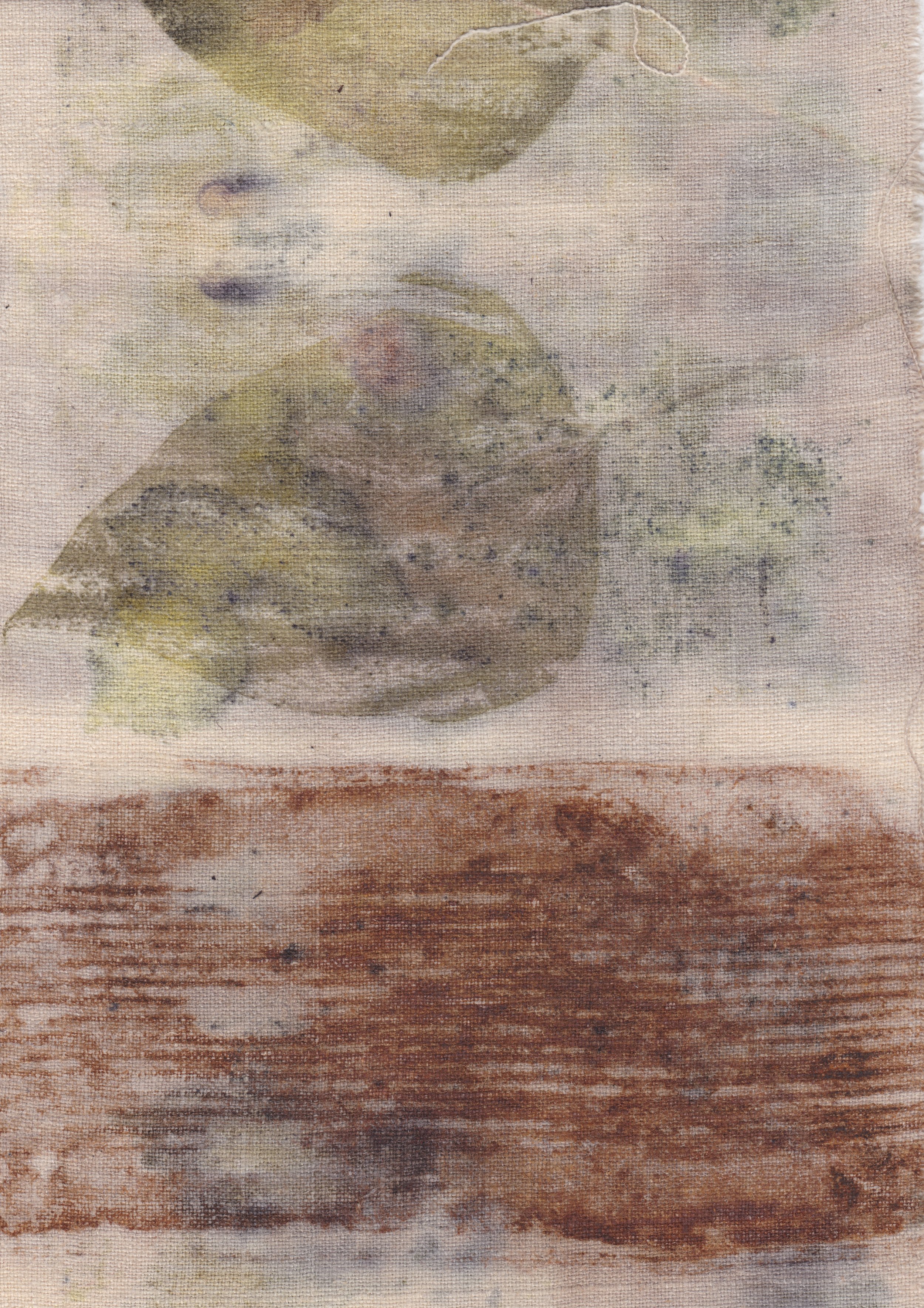 Eco-Print M 1.jpeg
