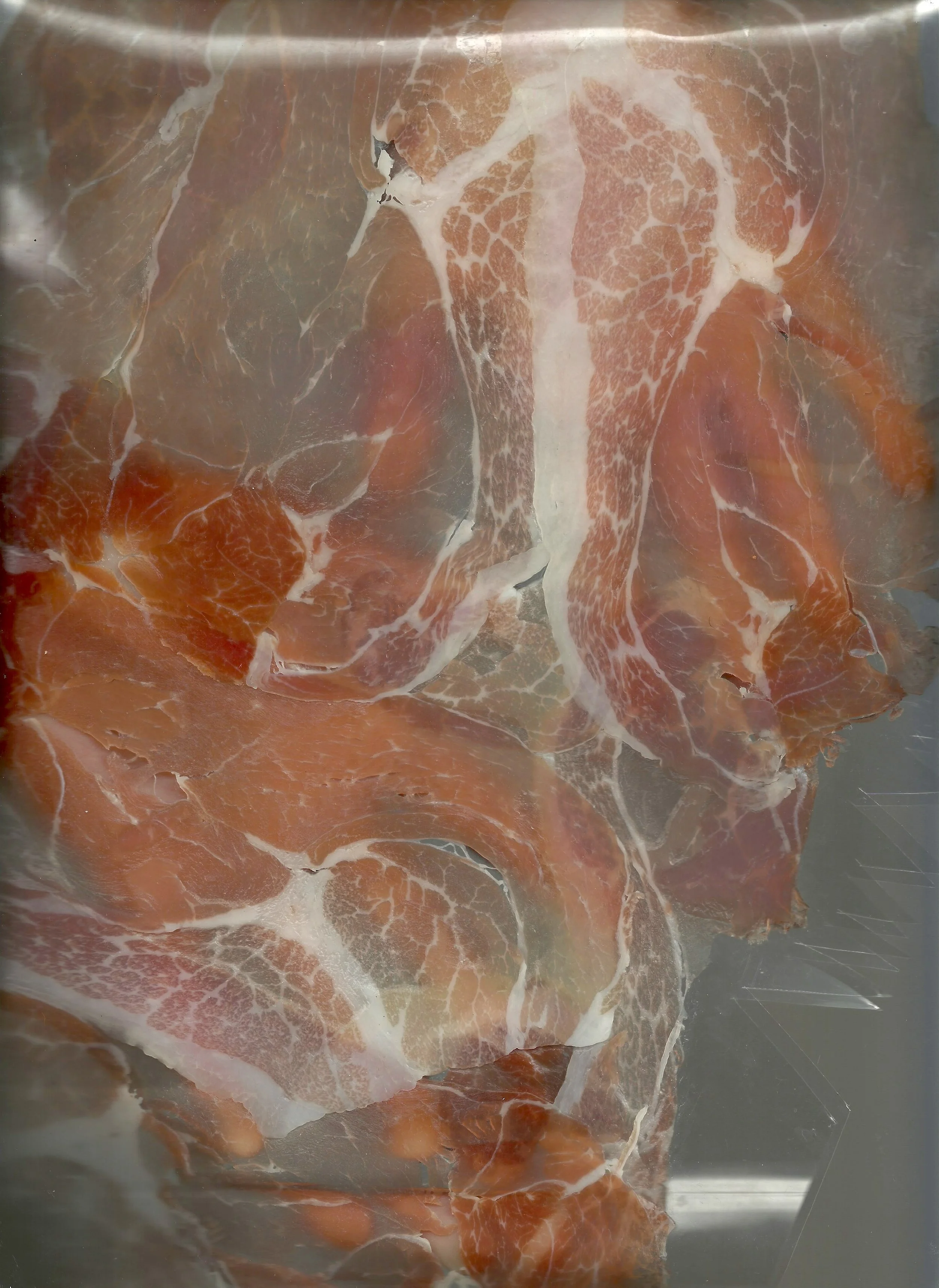 PigFace9.jpeg