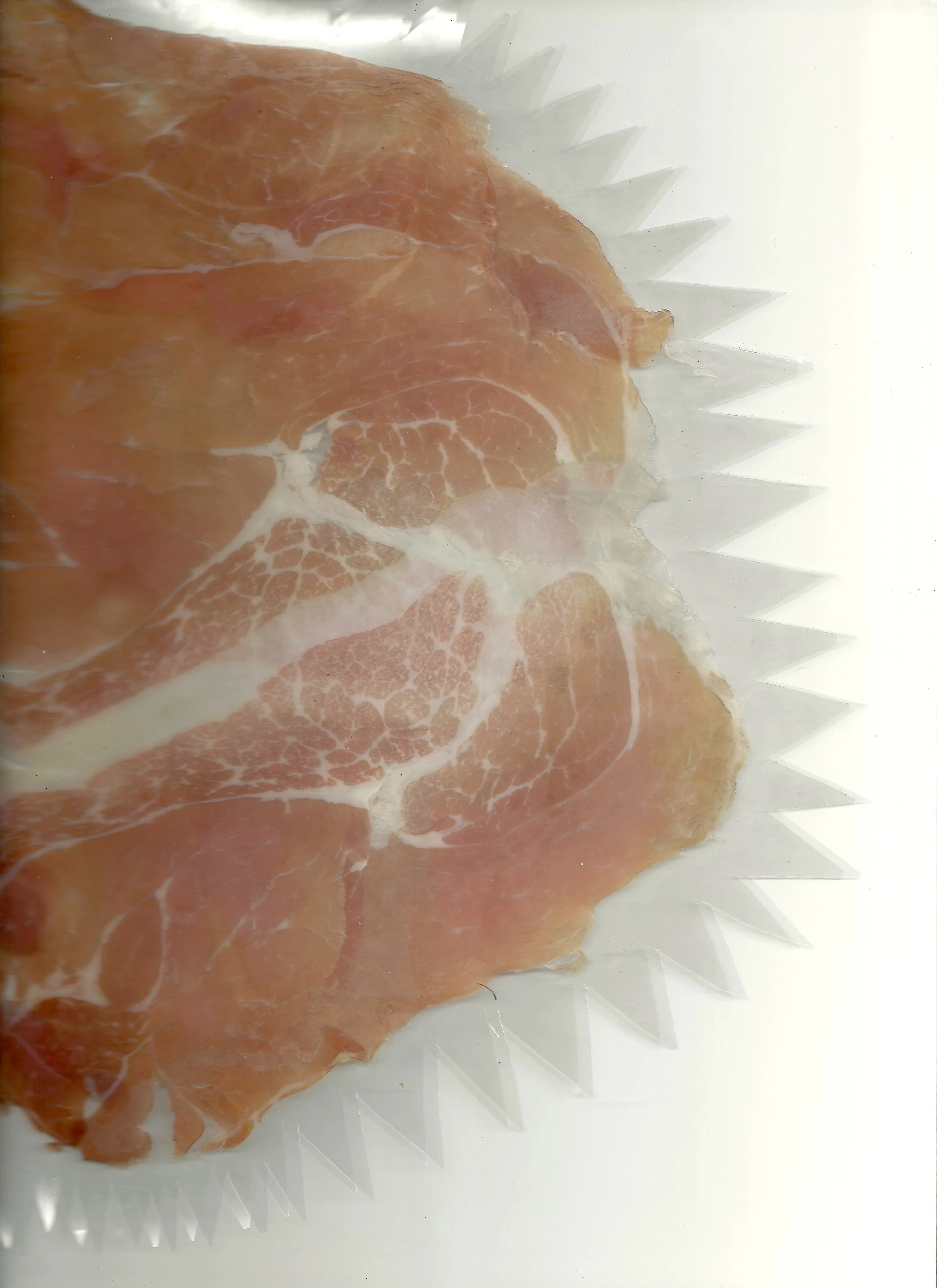 PigFace2.jpeg