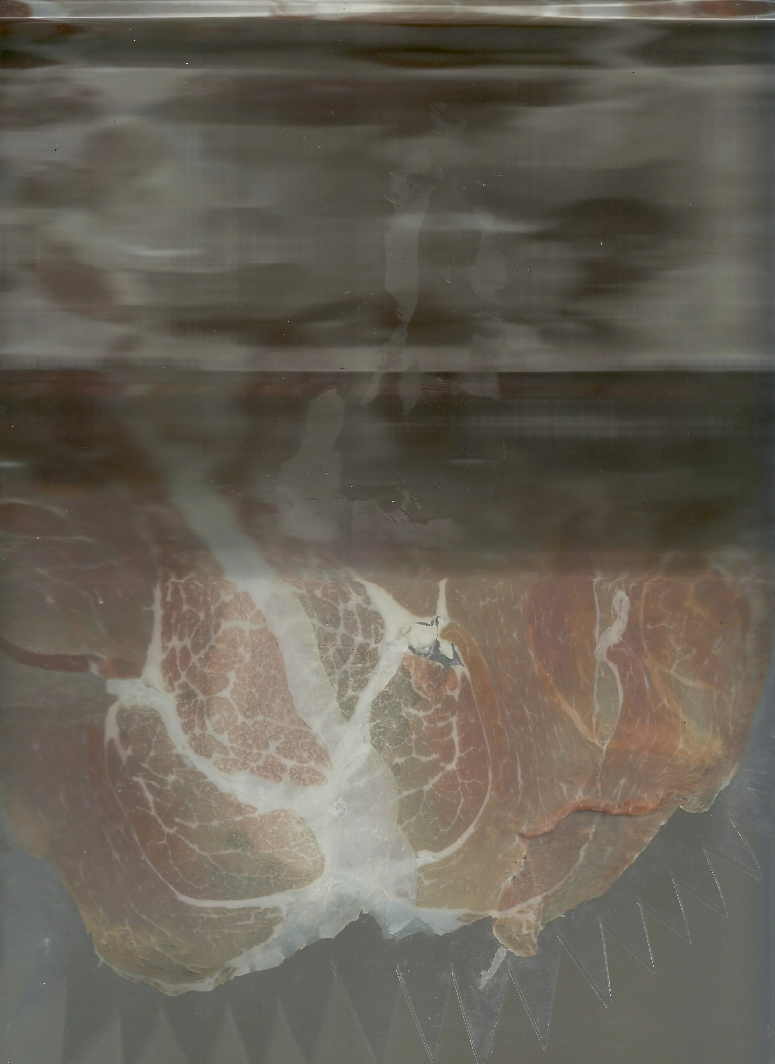 PigFace4.jpeg