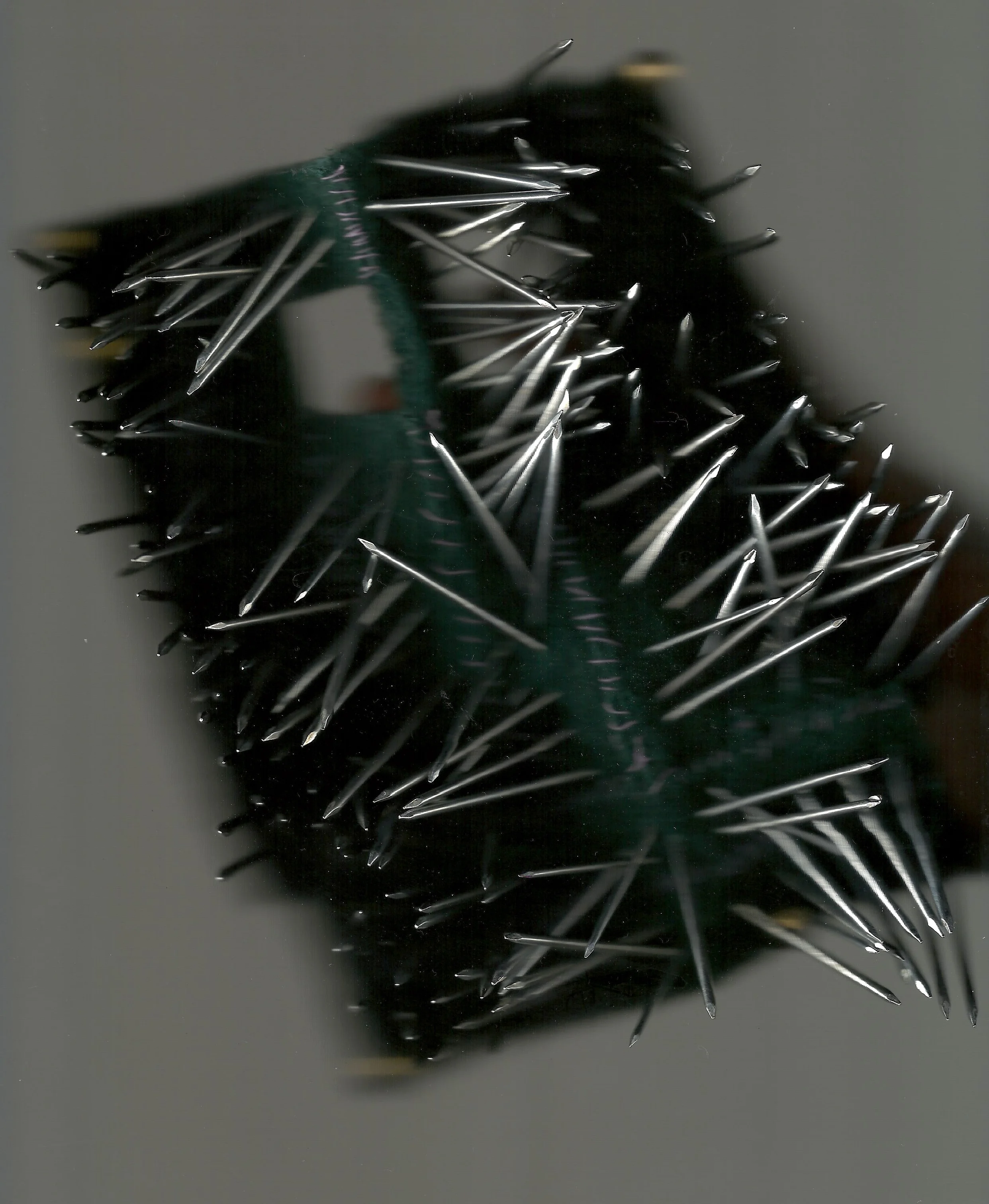 ScourNails5.jpeg