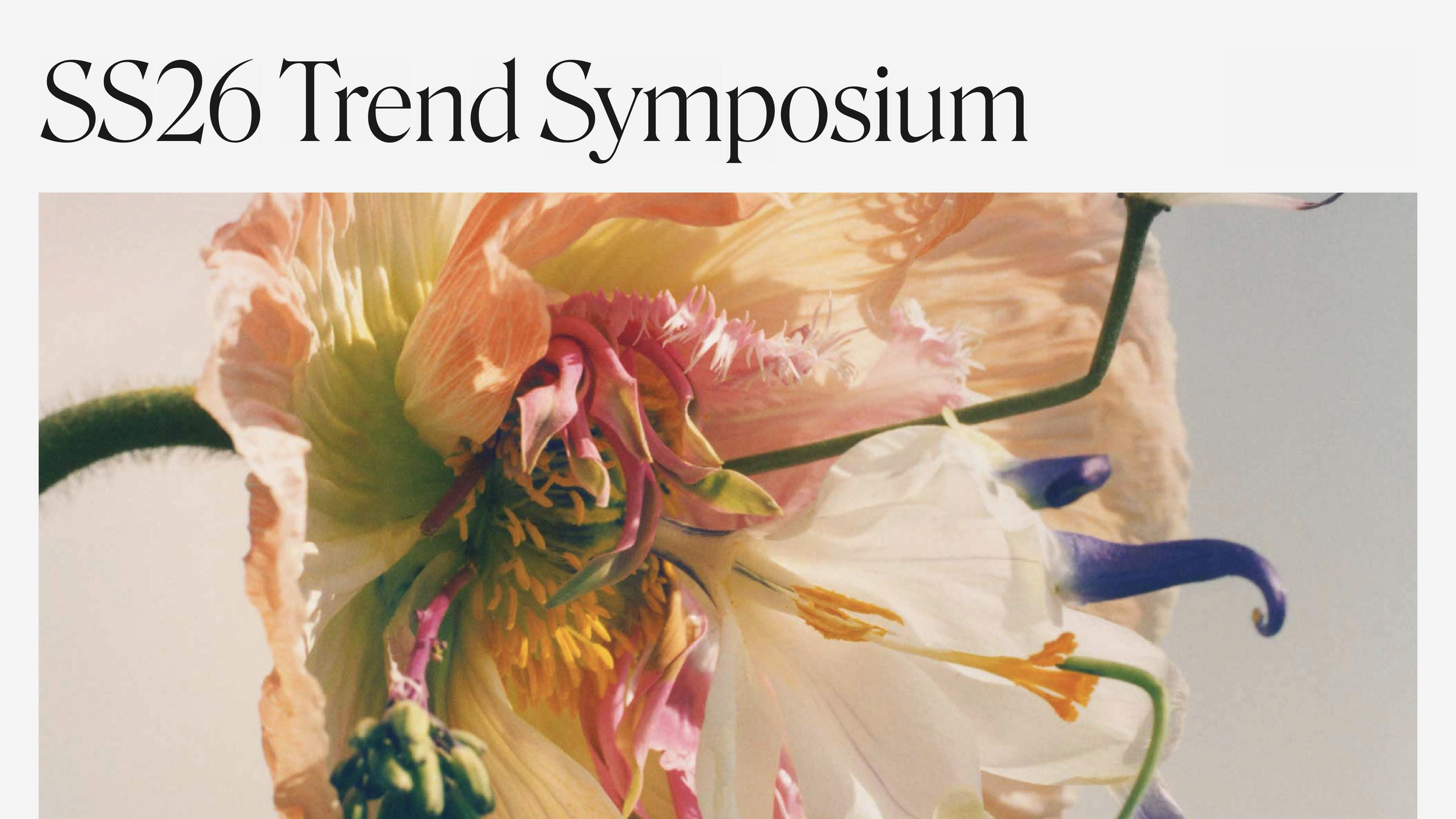 SS26 Sample Trend Report-compressed_Page_01.png