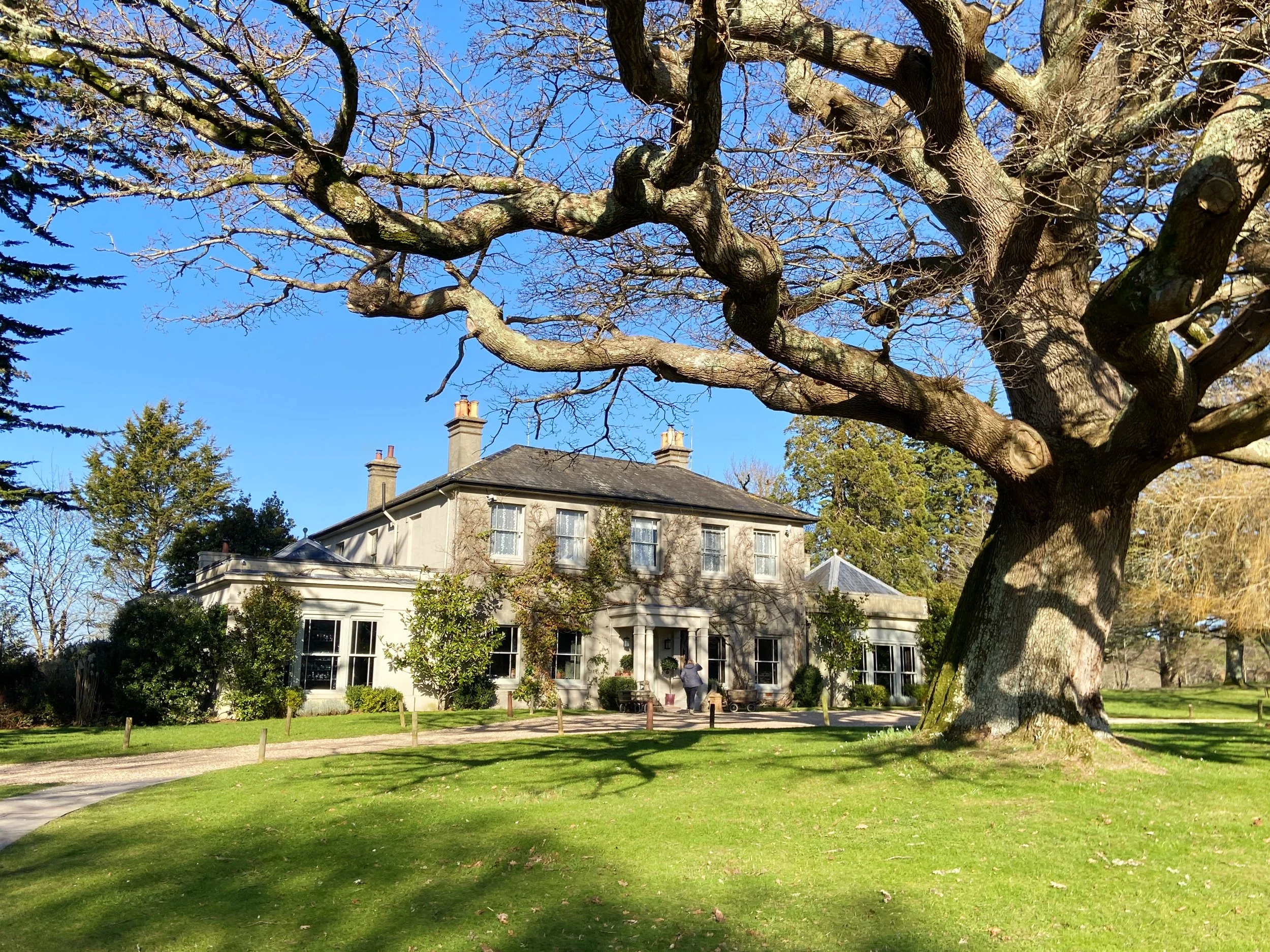 A winter escape to the New Forest