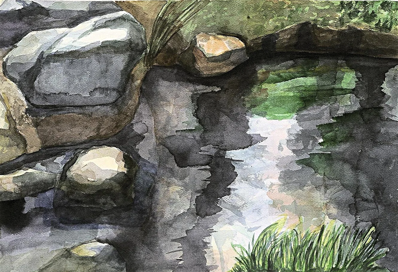 Paynes Gray Study