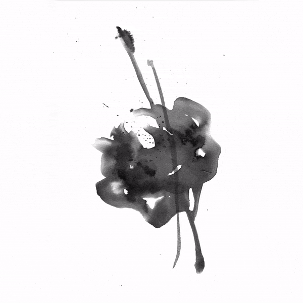 LIMINAL_FLOWERS_ANIMATION.gif