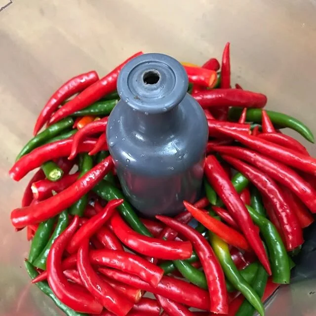 Sweet Chilli Sauce #chilli #sweetchillisauce #homemade #hotstuff