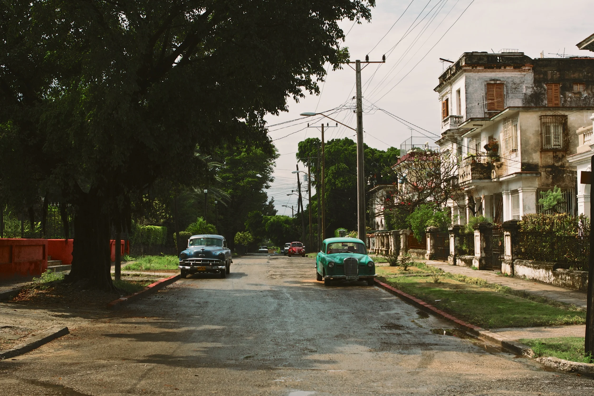 2014-02-28 | Alejandro 10570_MG_5588.jpg