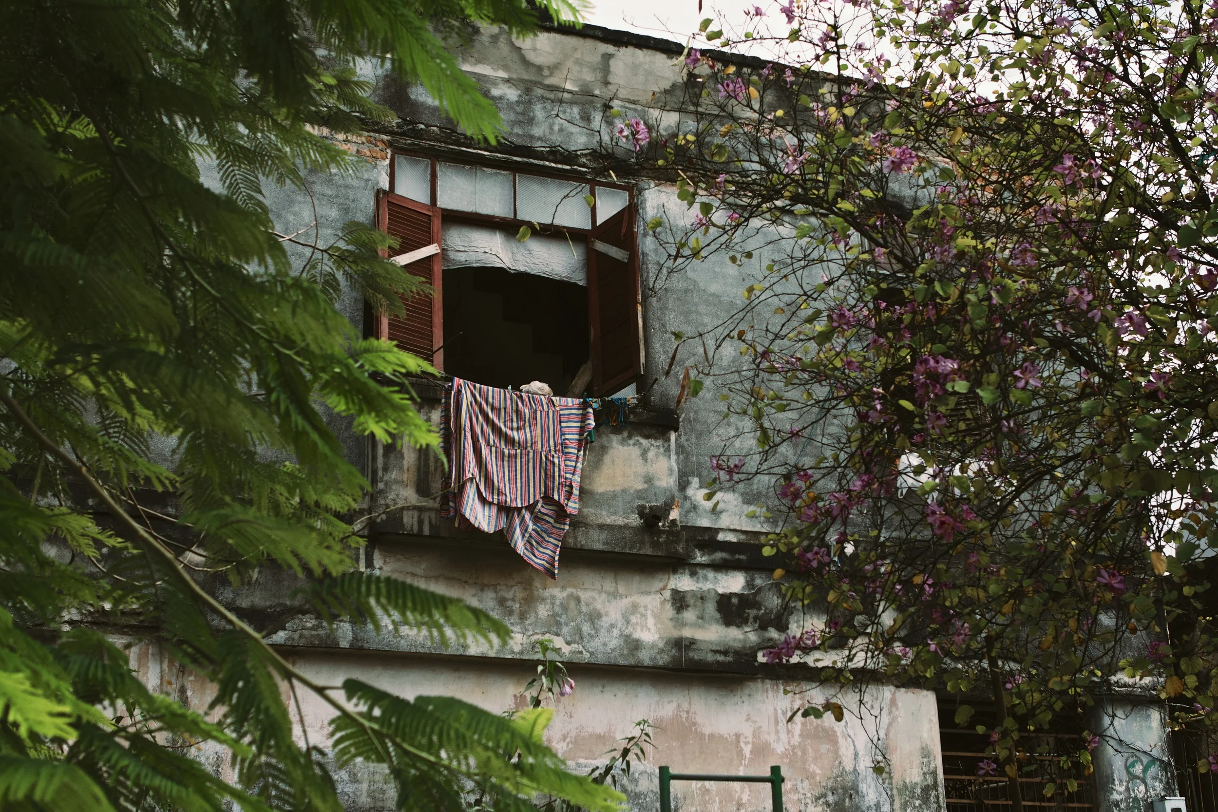 2014-02-28 | Alejandro 10569_MG_5587.jpg