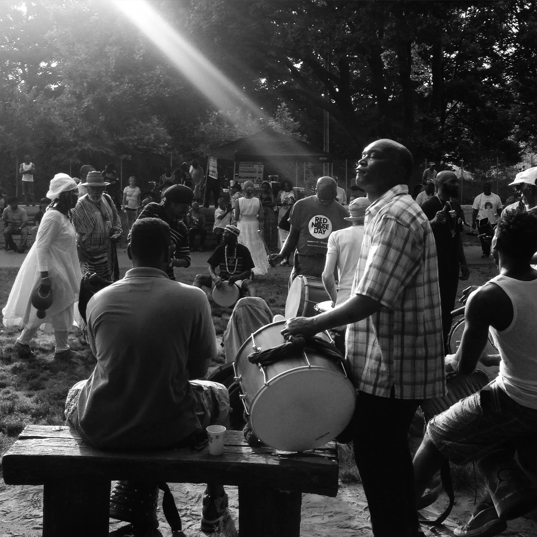  Prospect Park, Brooklyn NYC, (2015) 
