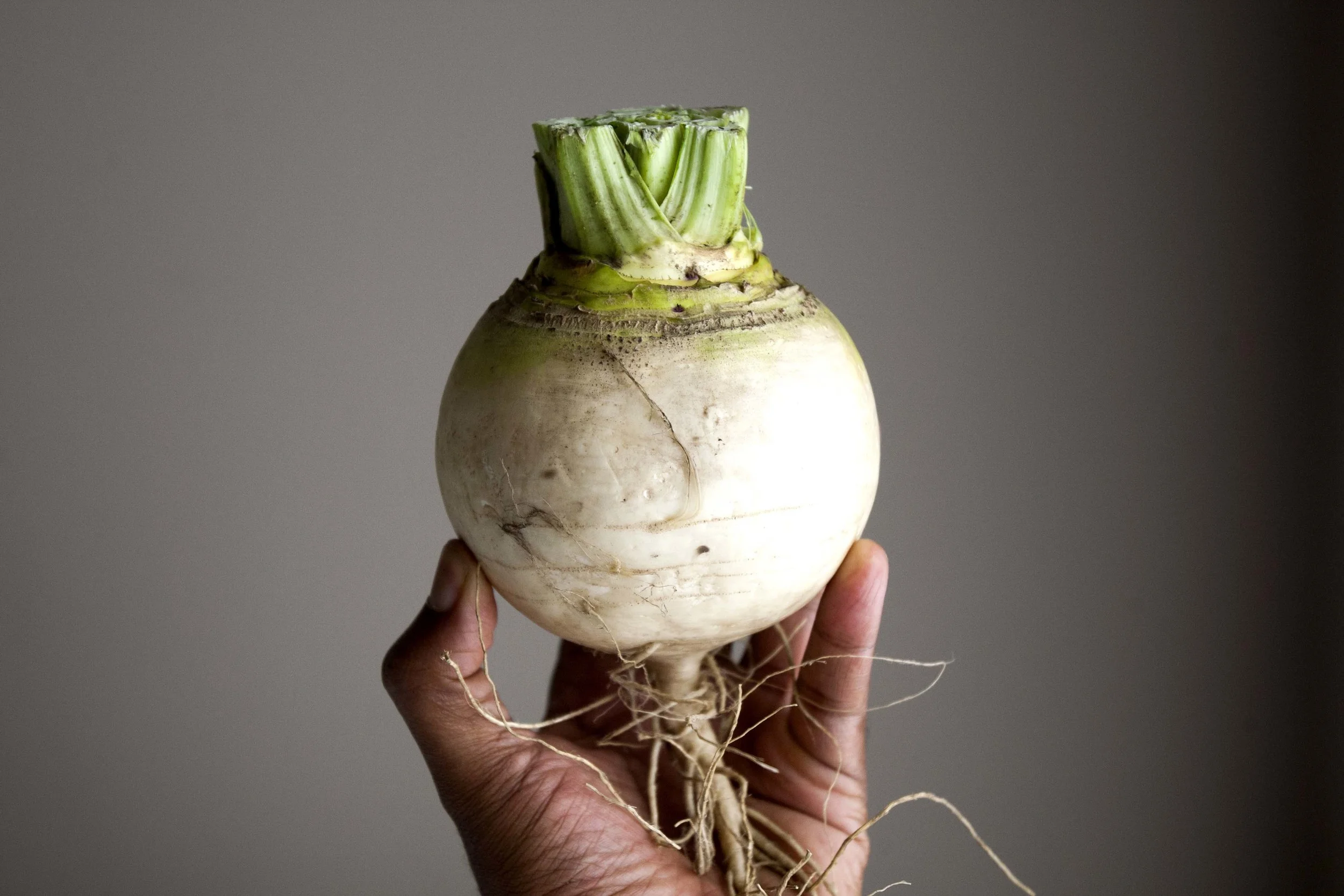  Turnip Root 