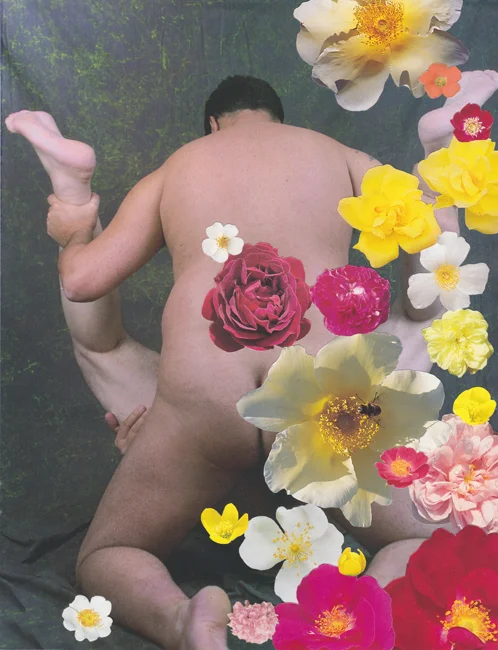 Bulk Male Flower Collage 3 Small.jpg
