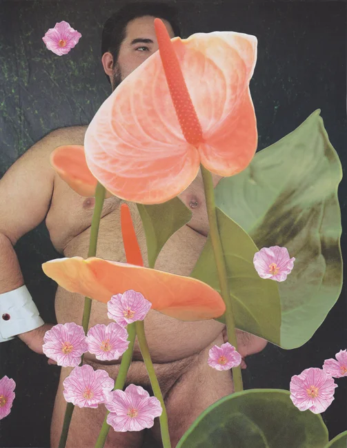 Bulk Male Flower Collage 10 Small.jpg