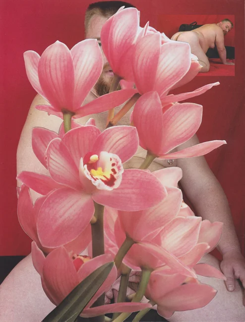 Bulk Male Flower Collage 13 Small.jpg