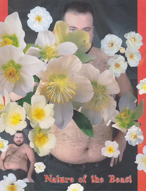 Bulk Male Flower Collage 16 Small.jpg