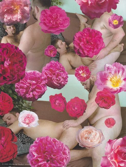 Bulk Male Flower Collage 19 Small.jpg