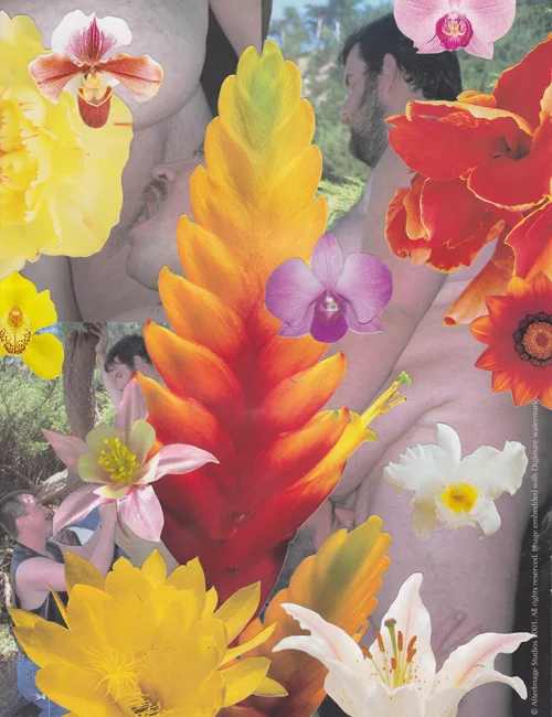 Bulk Male Flower Collage 21 Small.jpg