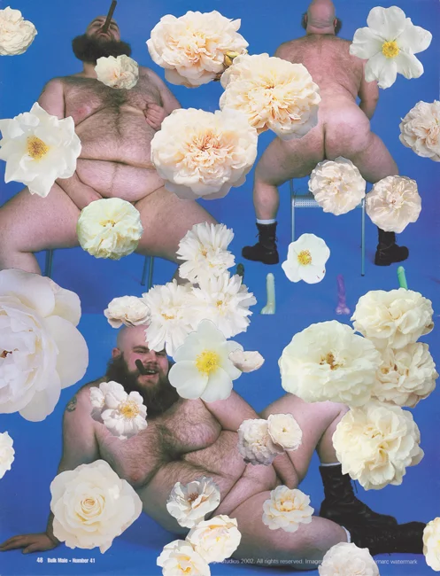 Bulk Male Flower Collage 22 Small.jpg