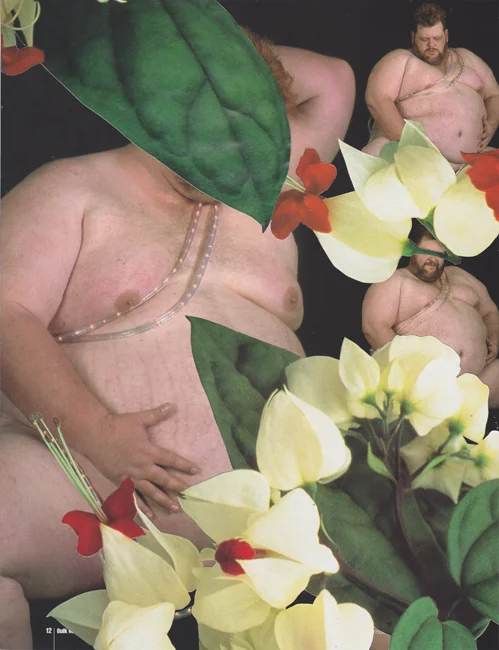 Bulk Male Flower Collage 29 Small.jpg