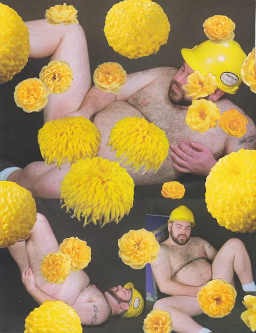 Bulk Male Flower Collage 36 Small.jpg