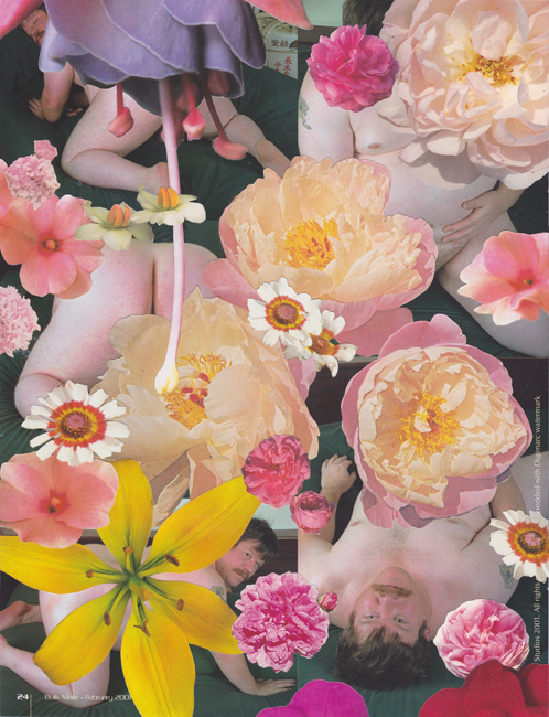 Bulk Male Flower Collage 38 Small.jpg