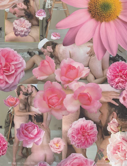 Bulk Male Flower Collage 40 Small.jpg