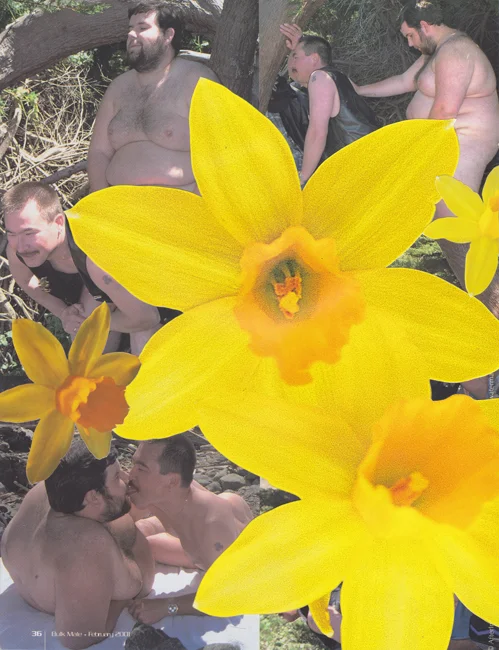Bulk Male Flower Collage 45 Small.jpg