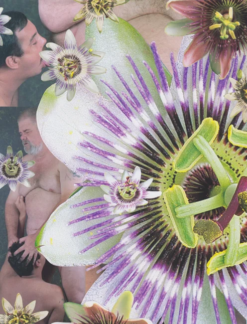 Bulk Male Flower Collage 49 Small.jpg