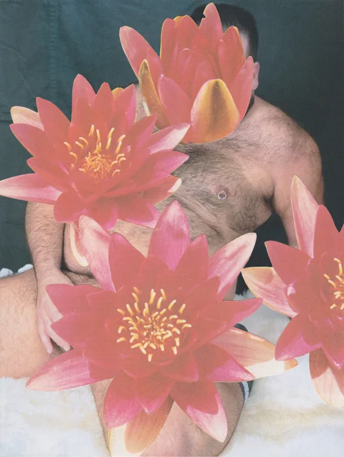 Bulk Male Flower Collage For Julian 1 Small.jpg