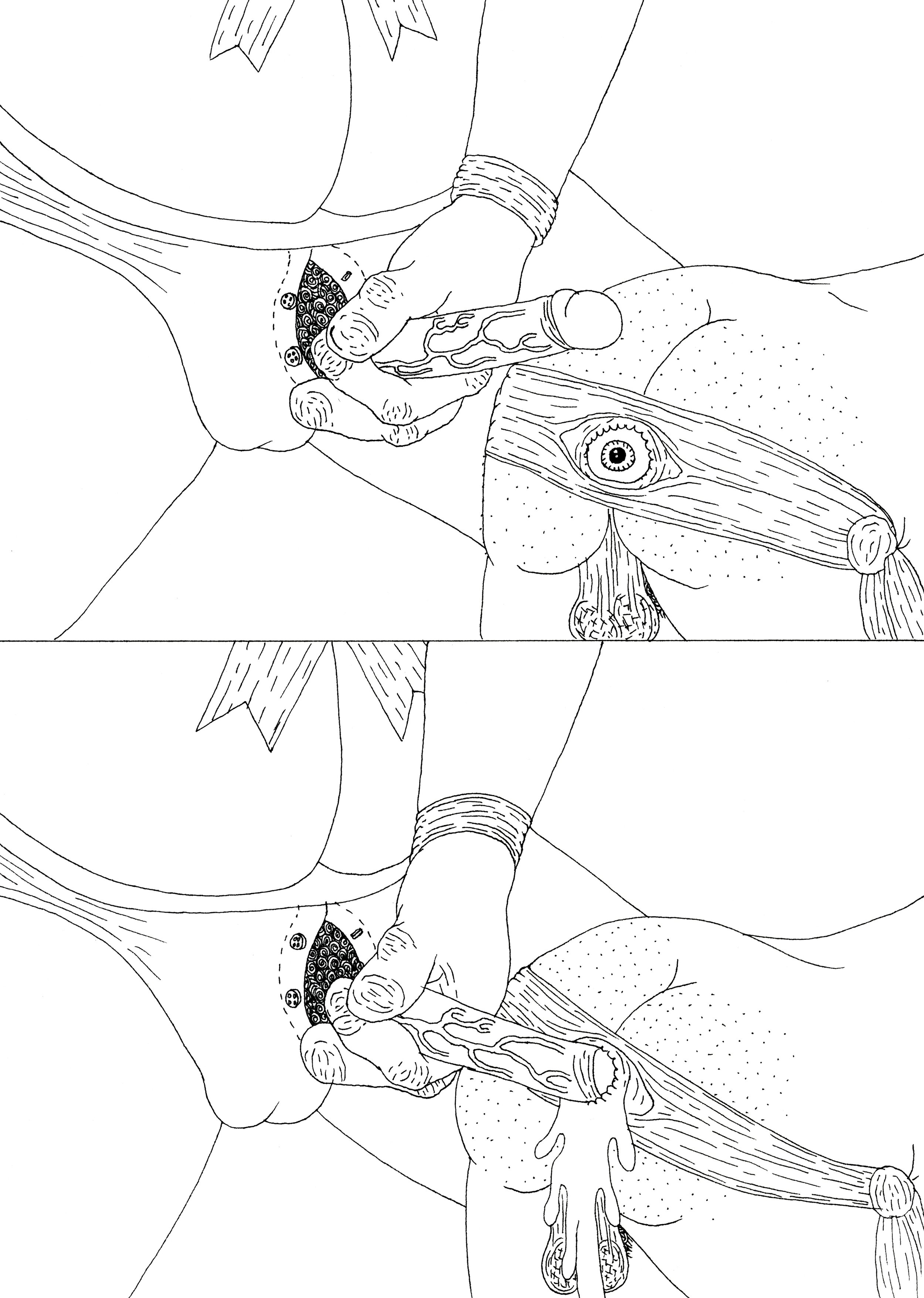 Appeasing Desire Through the Destruction of It's Object.jpeg