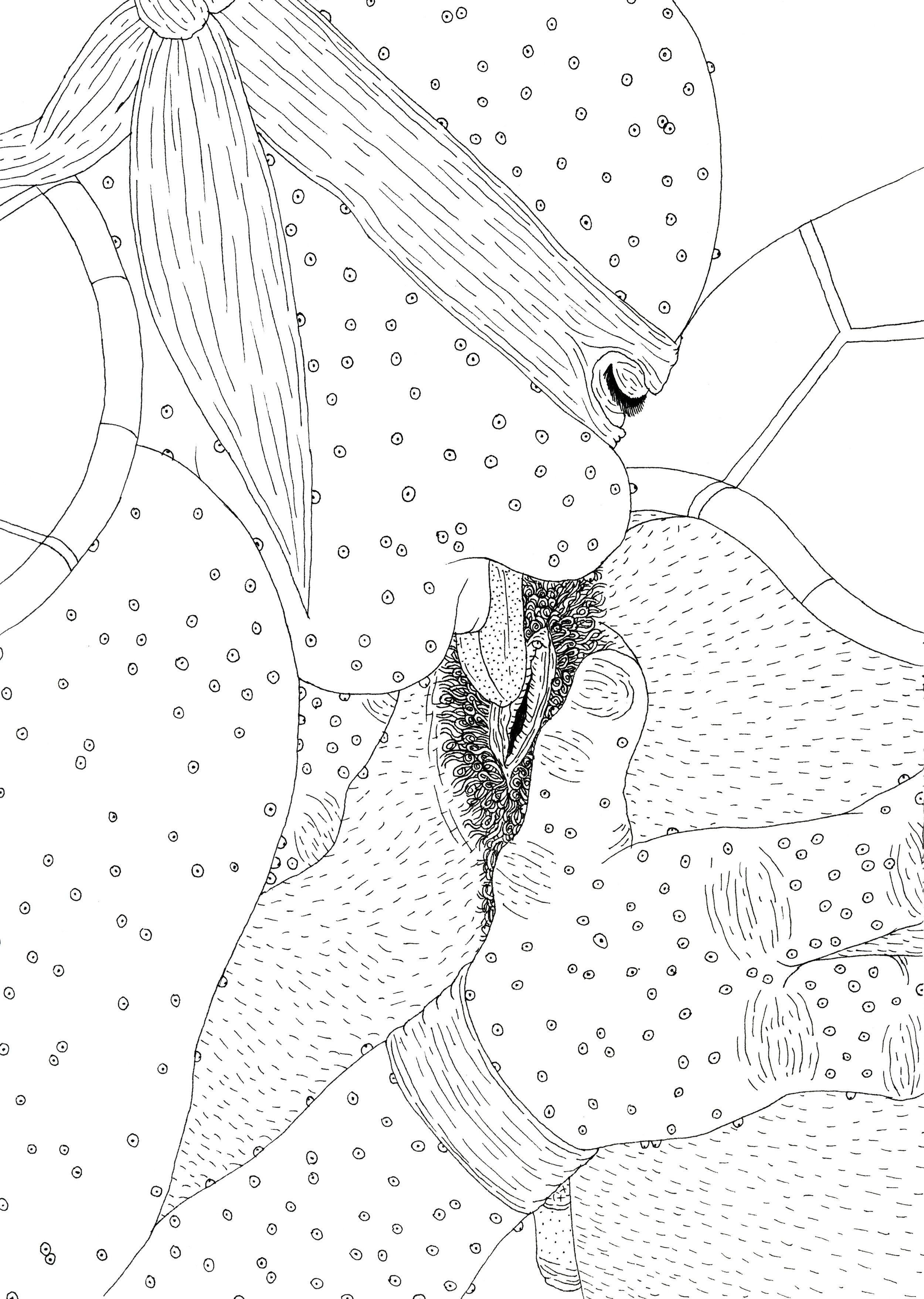 Kill Gays That Base Themselves on Straight Cunts.jpeg