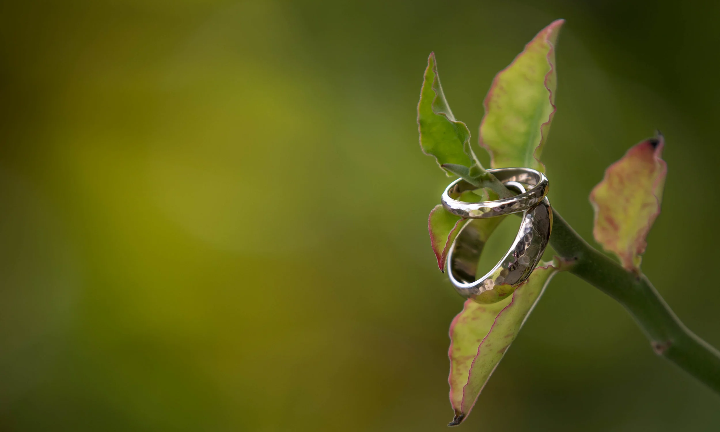 Grant Wedding (6 of 128).jpg