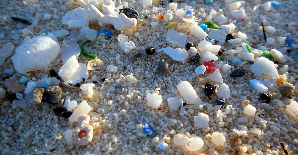 Plastics By Air, By Land, By Sea Accumulating In Lungs and Gills
