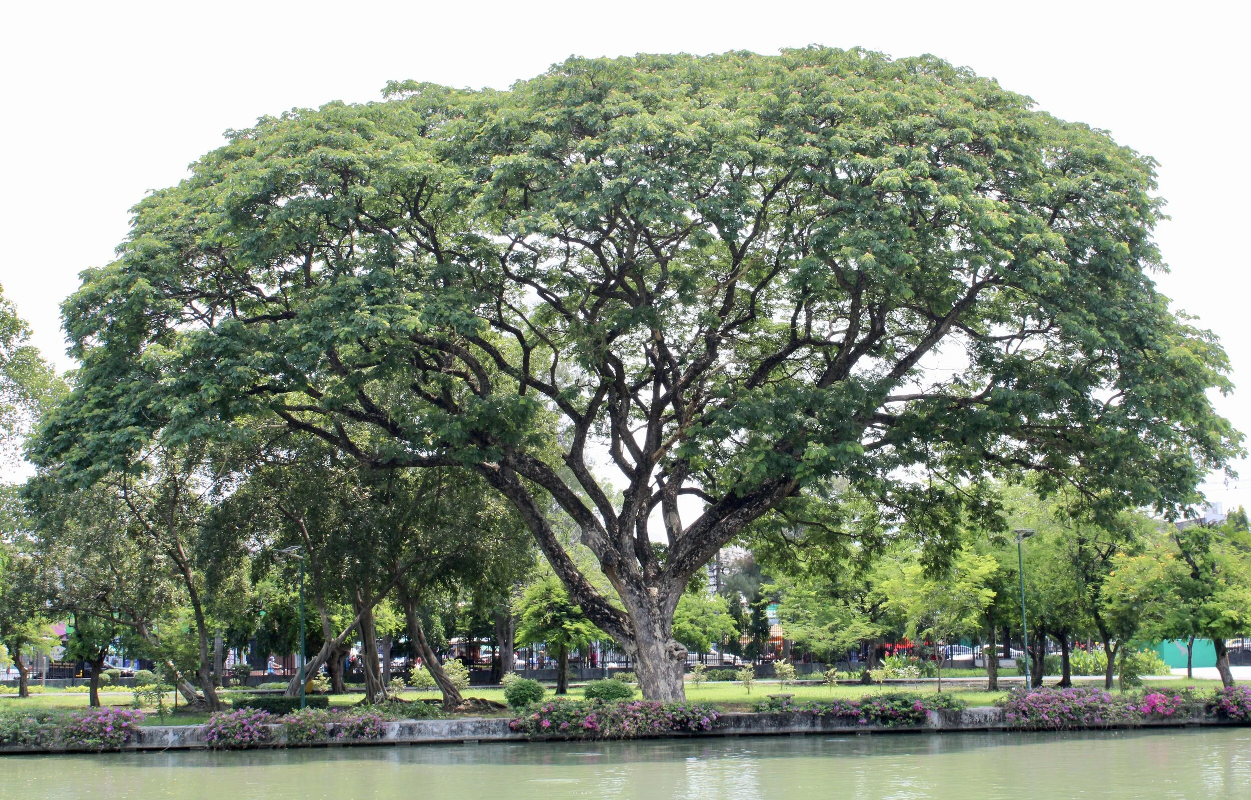 Earth Day 2021 Outcomes