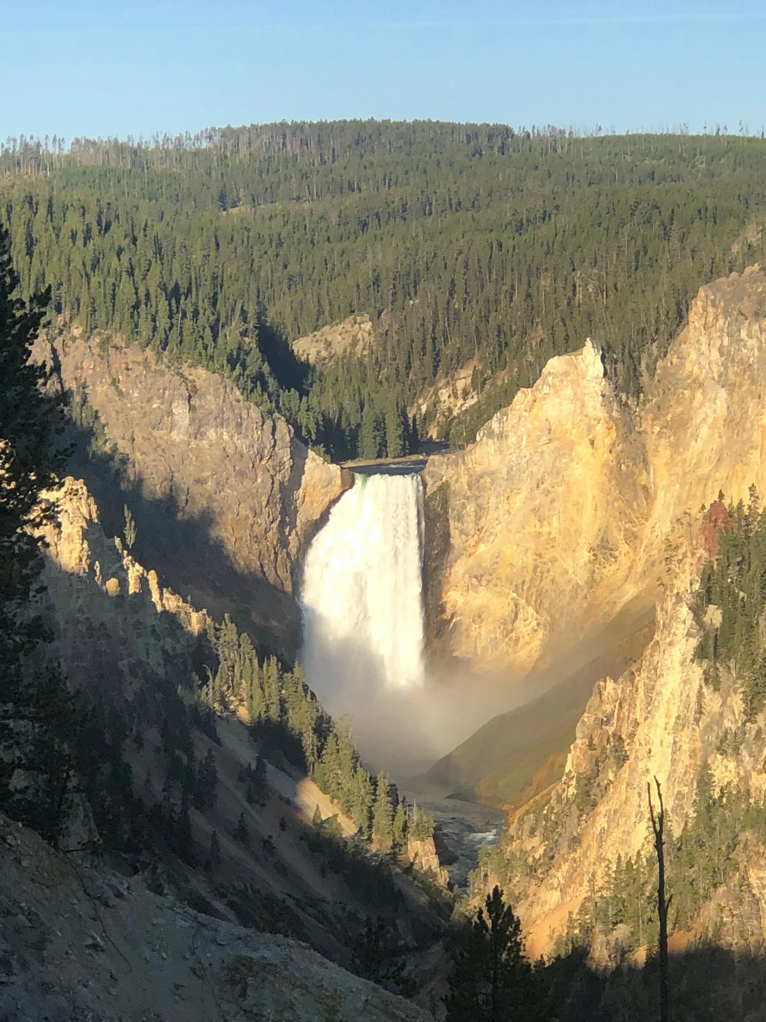 Celebrating Yellowstone!