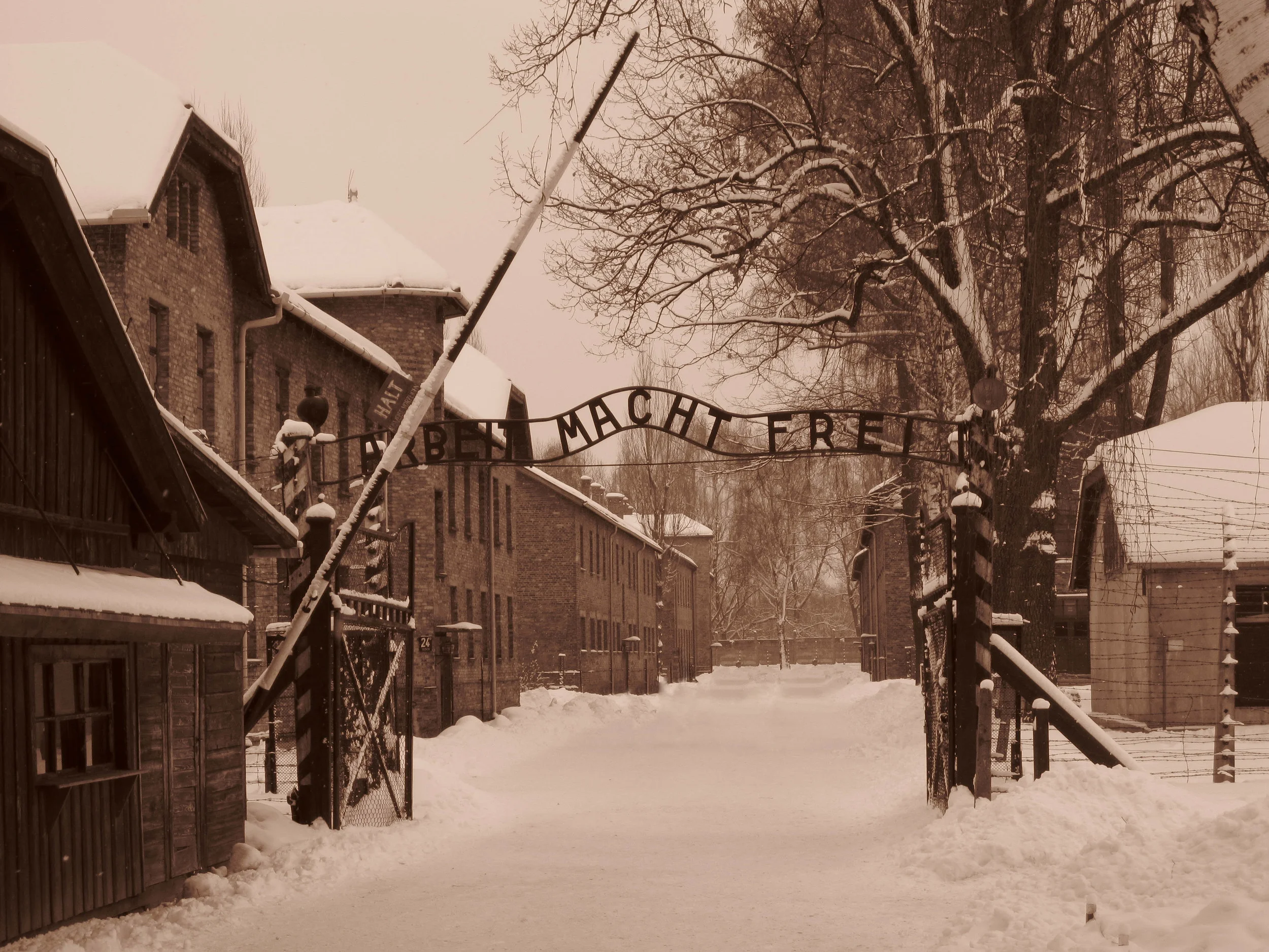 Auschwitz.JPG
