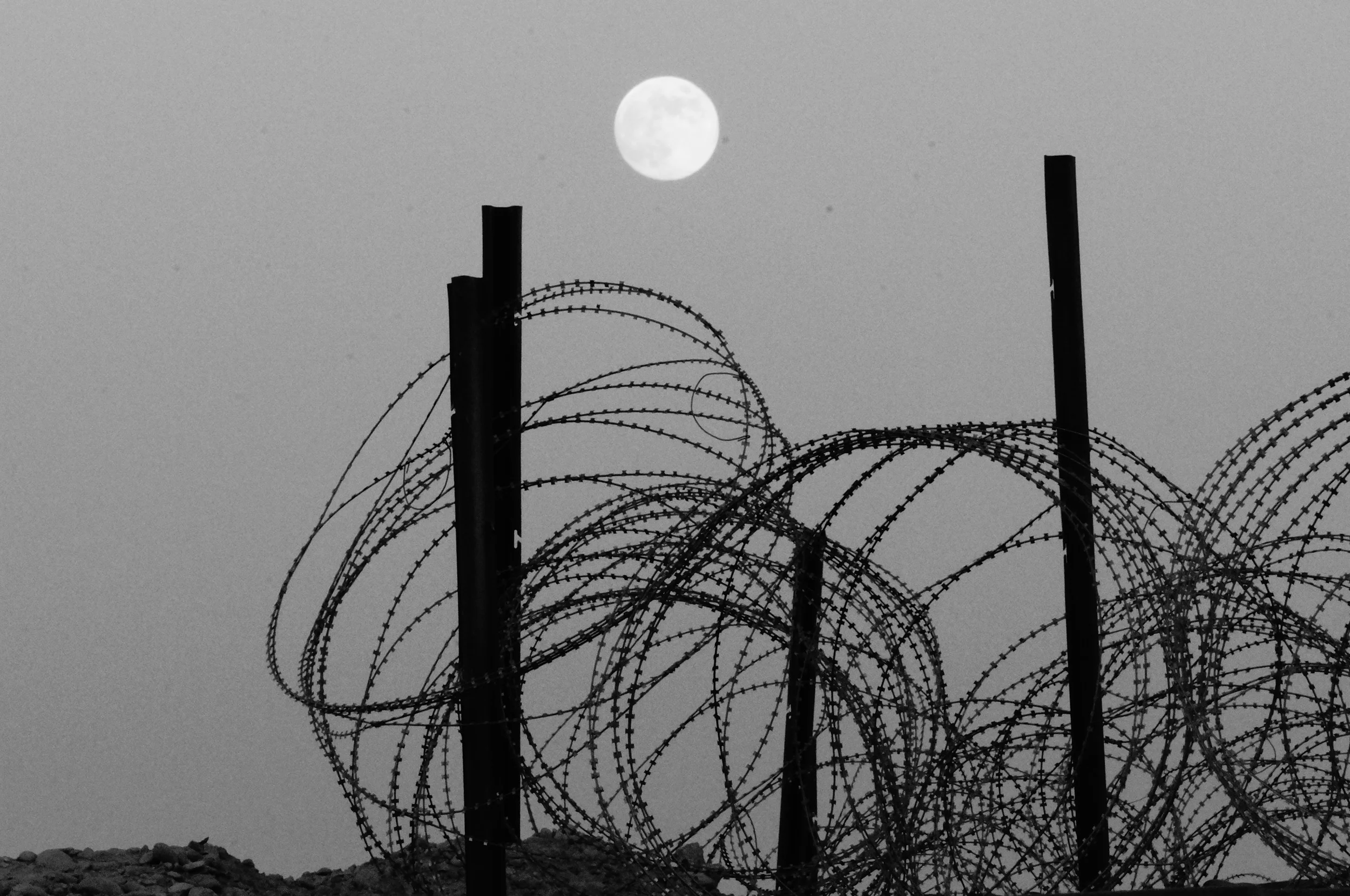 RazorWire.JPG