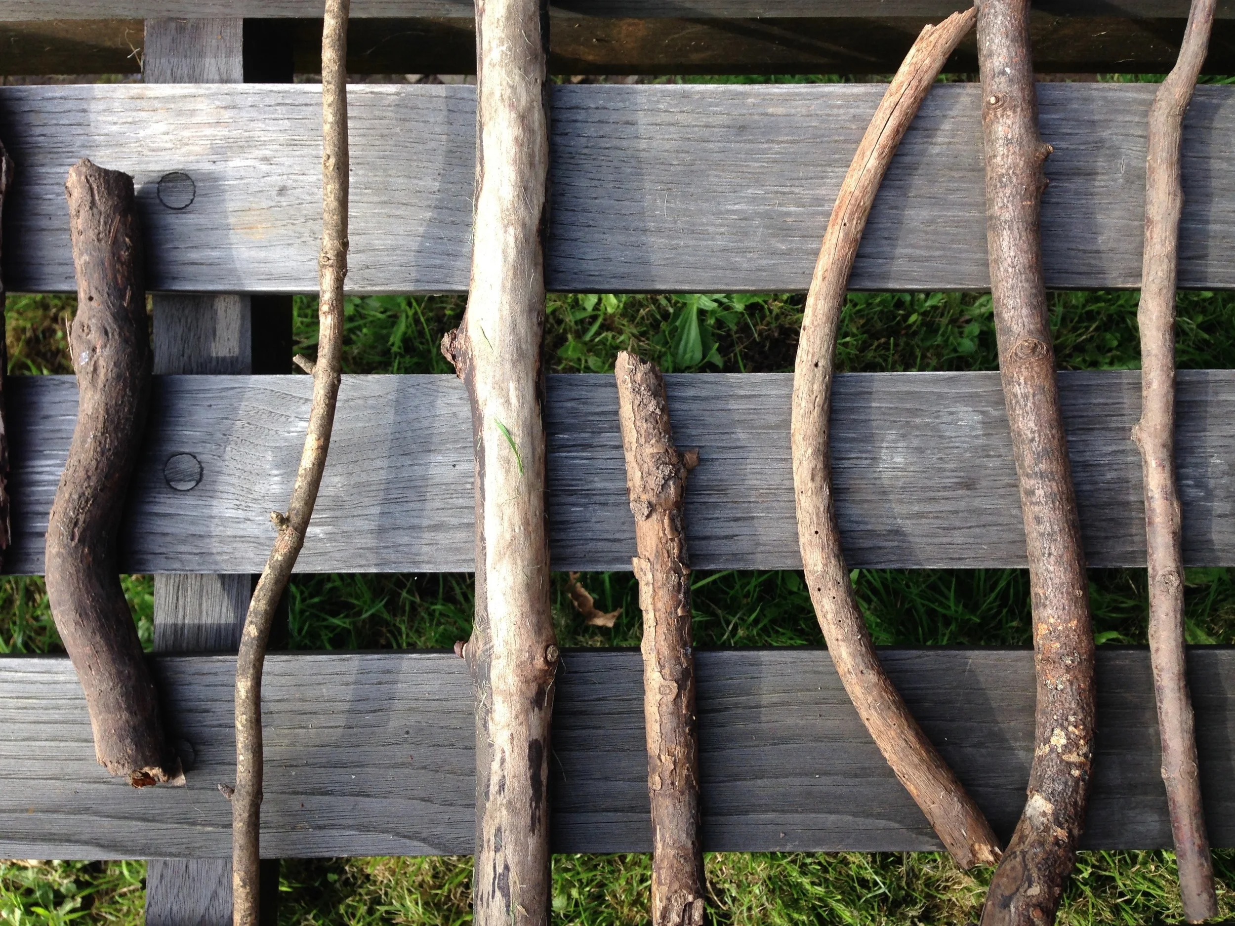 The first few weeks at Karibu...