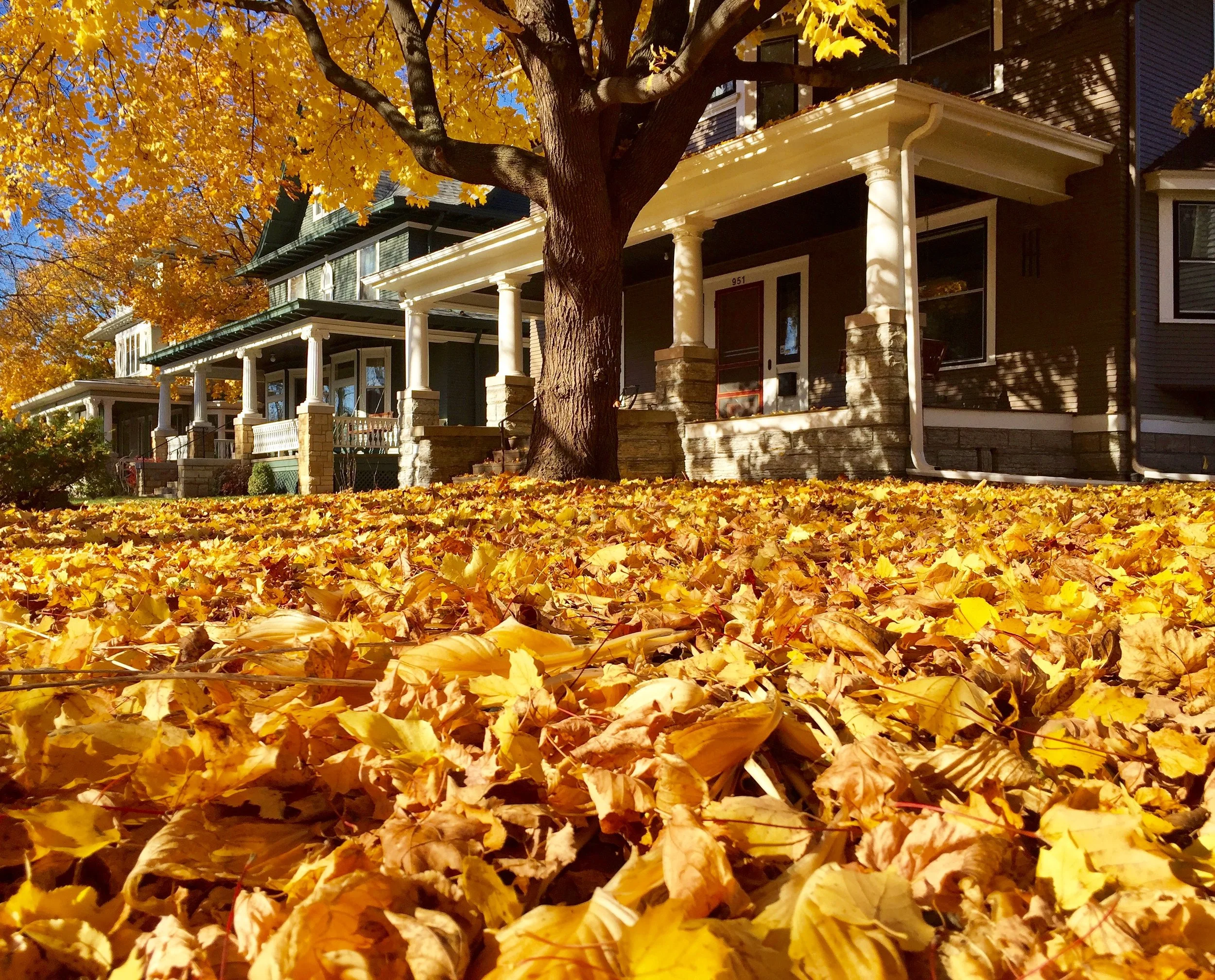 Fall 2017 Housing Market Update | Twin Cities
